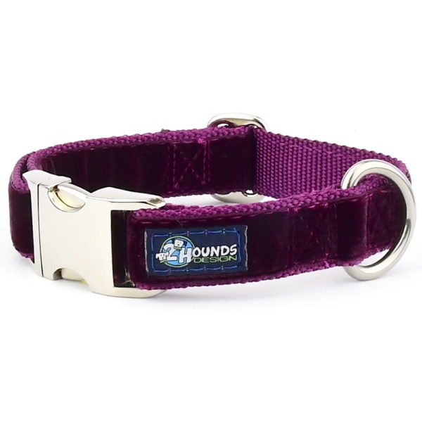 2 Hounds Design Burgundy Velvet Essential Dog Collar - Angler's Pro Tackle & Outdoors