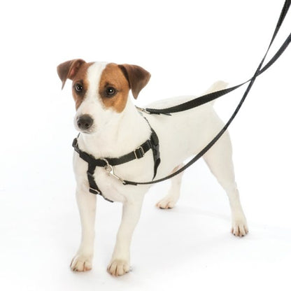 2 Hounds Design Christmas Patchwork Freedom No - Pull Dog Harness – EarthStyle - Angler's Pro Tackle & Outdoors