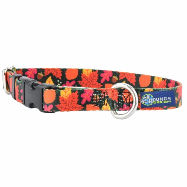 2 Hounds Design Falling Leaves Dog Collar – EarthStyle - Angler's Pro Tackle & Outdoors