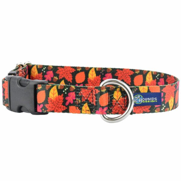 2 Hounds Design Falling Leaves Dog Collar – EarthStyle - Angler's Pro Tackle & Outdoors