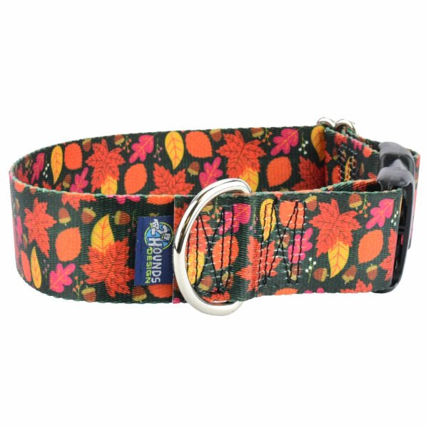 2 Hounds Design Falling Leaves Dog Collar – EarthStyle - Angler's Pro Tackle & Outdoors