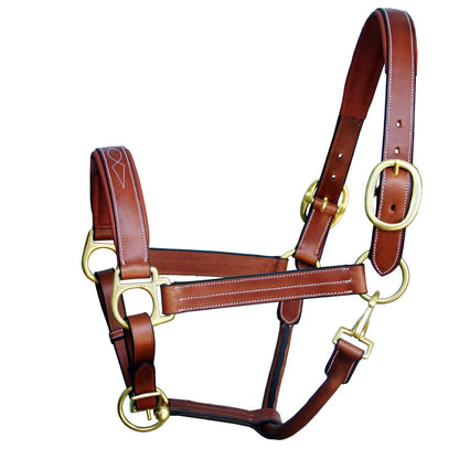 Bridles & Reins ExionPro Triple Stitched Halter - Brass Hardware