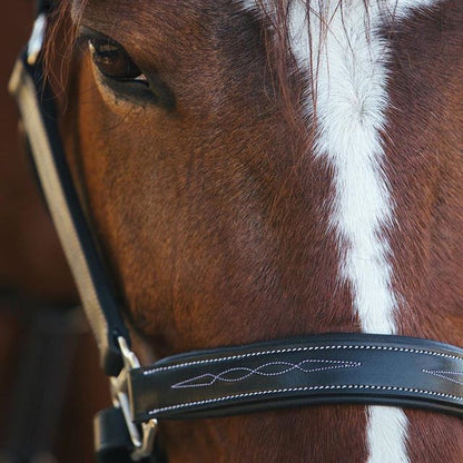 Bridles & Reins ExionPro Fancy Stitched Halter - Brass Nickel Hardware