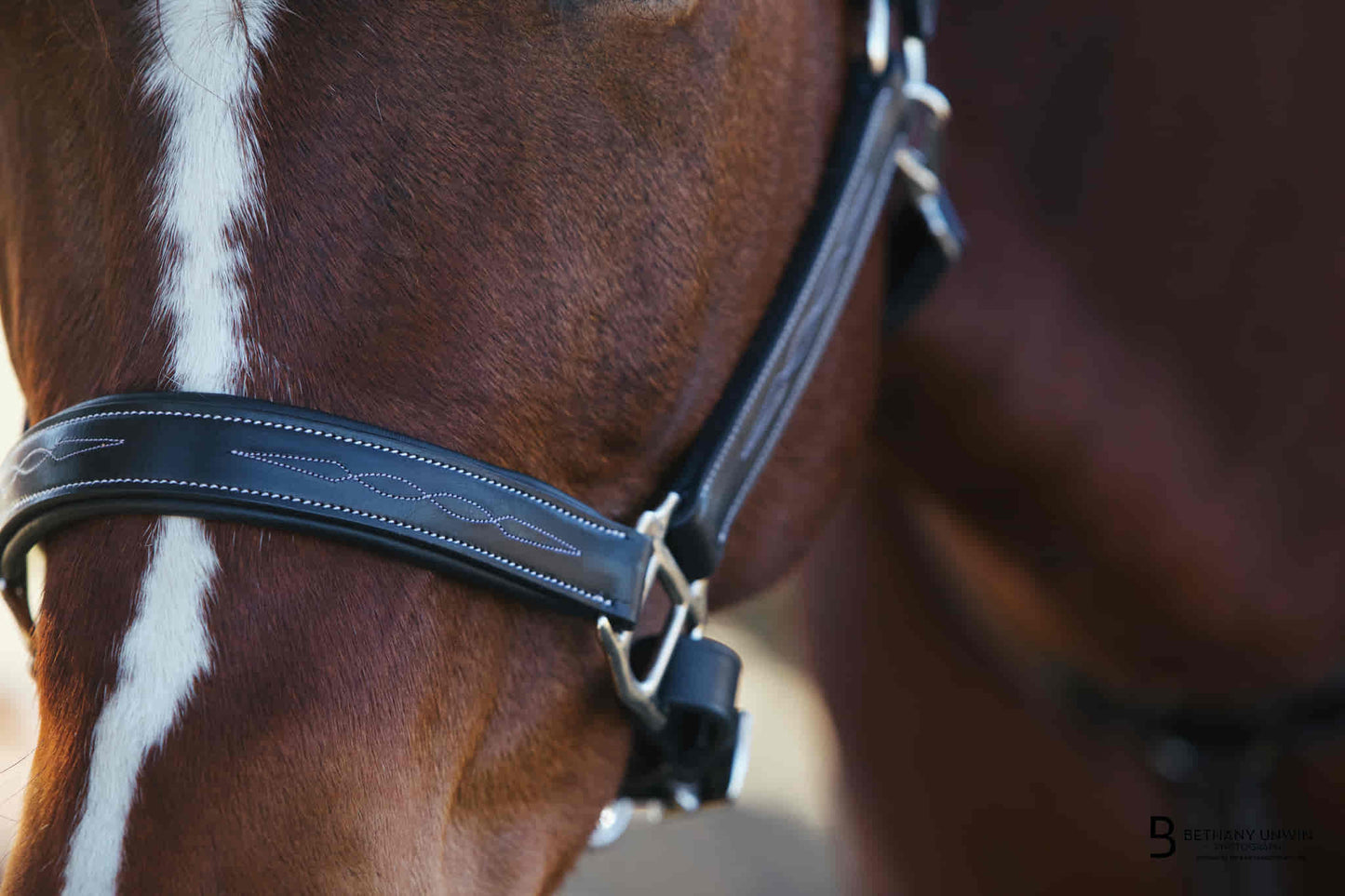 Bridles & Reins ExionPro Fancy Stitched Halter - Brass Nickel Hardware