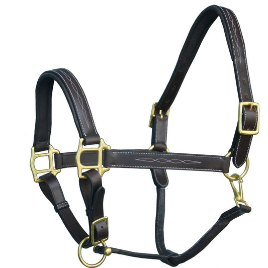 Bridles & Reins ExionPro Fancy Stitched Halter - Brass Hardware
