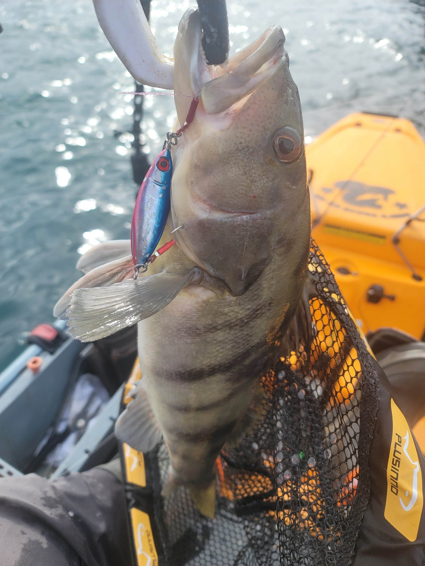 Submission Fishing Co - Sumo Jigs - Middleweight Division