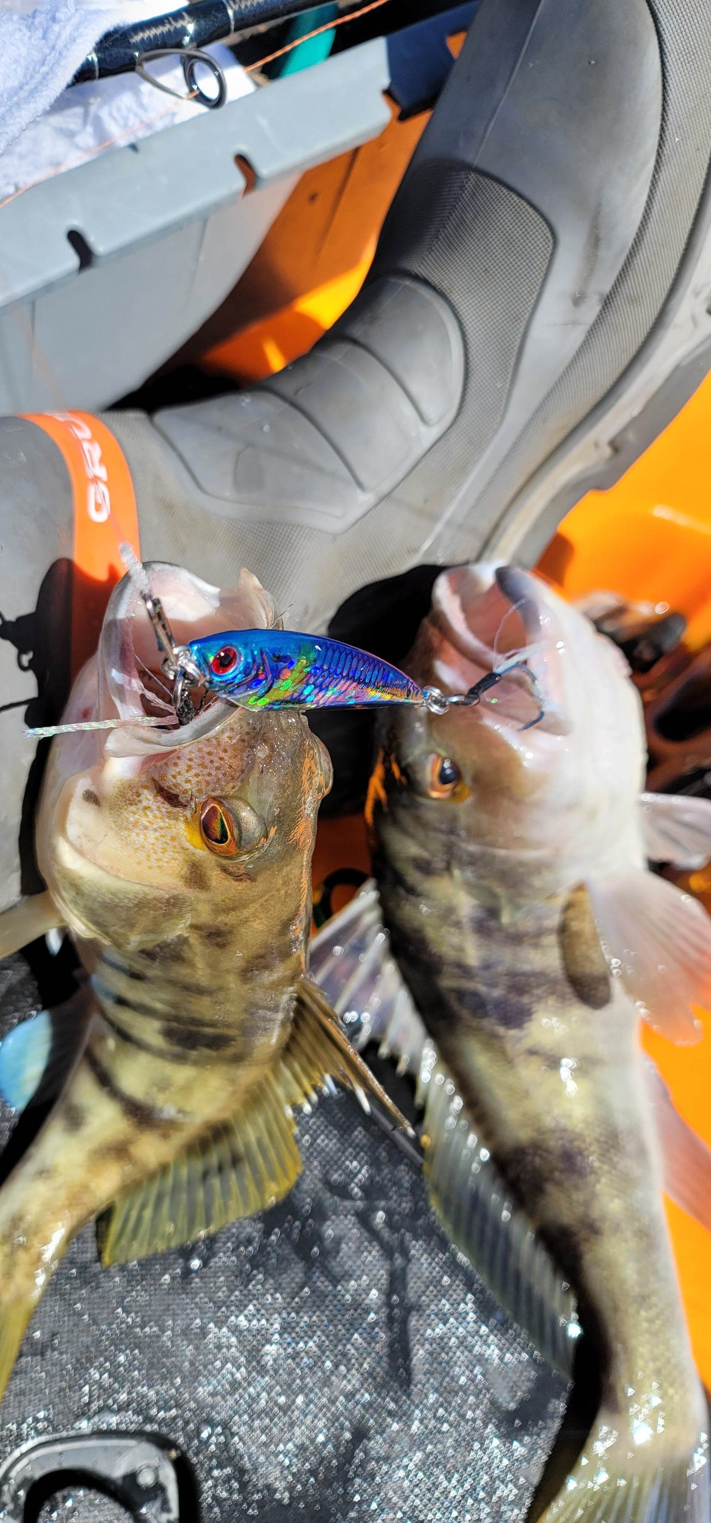Submission Fishing Co - Mercenary Jigs - Middleweight Division