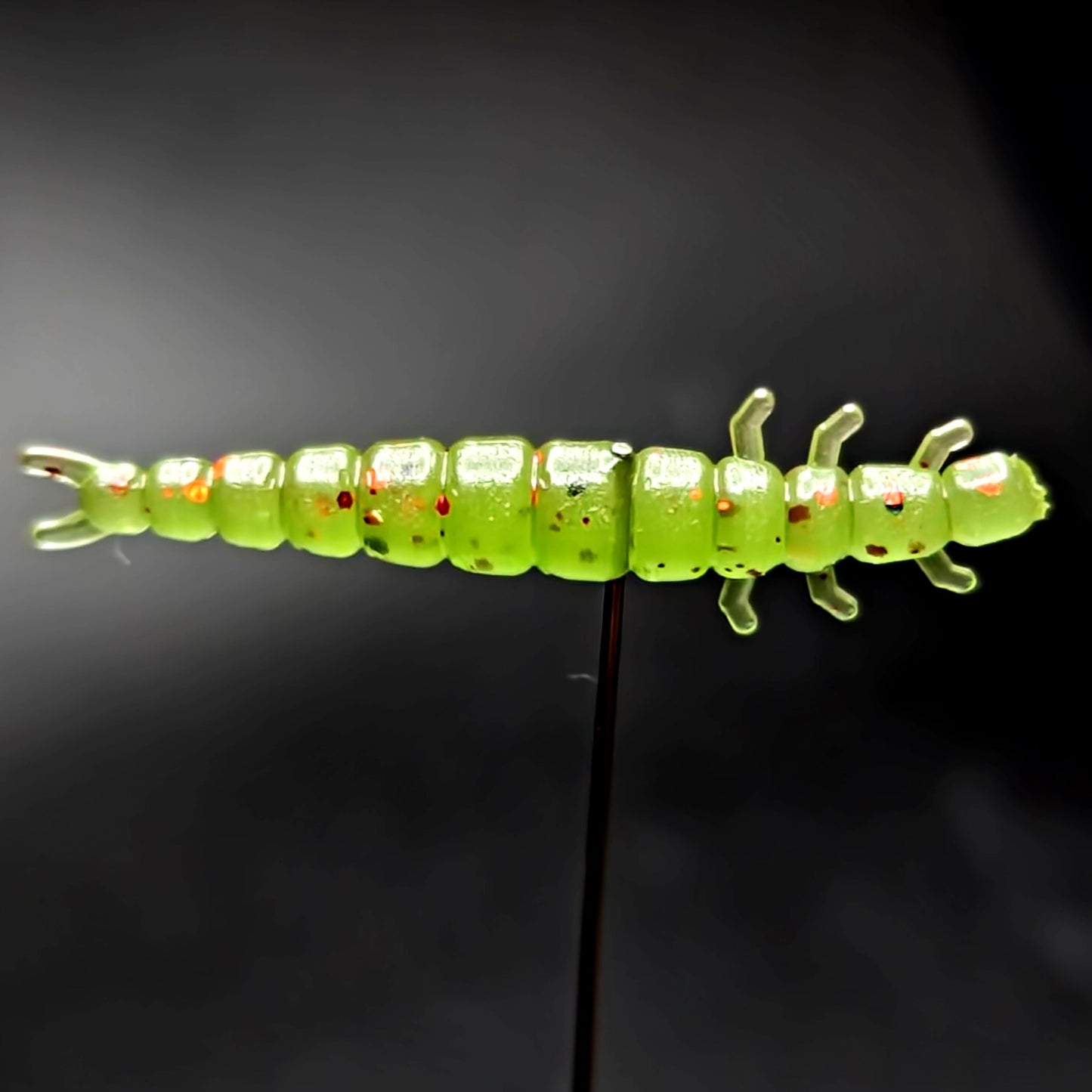 Creek Life Lures Jar of 1.3" Caddis Fly Larvae "Stream Weaver"