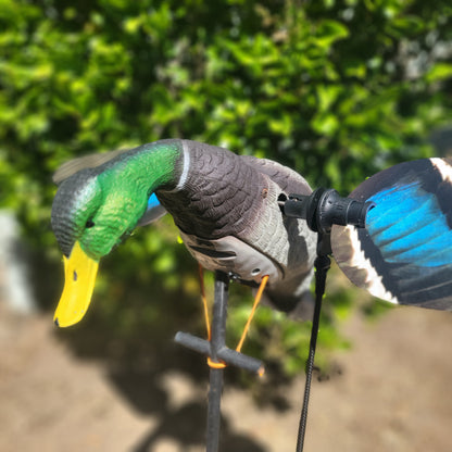 Blue Bird Waterfowl Animator V2 for Super Lucky Duck