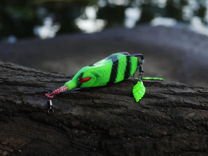 American Snakehead Customs Snek Frog