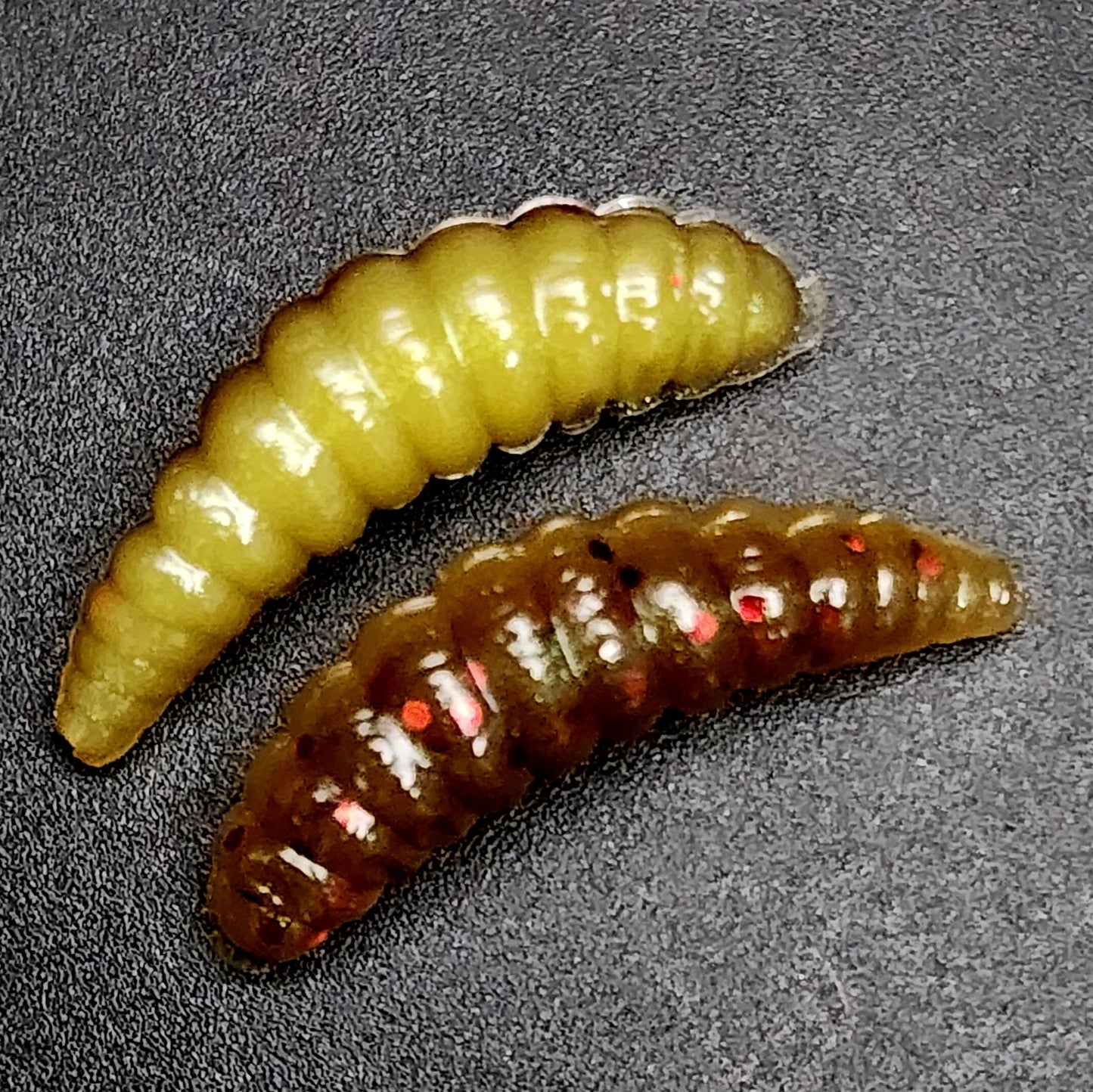 Creek Life Lures Jar of 1" Waxworm "The Tater Bug"