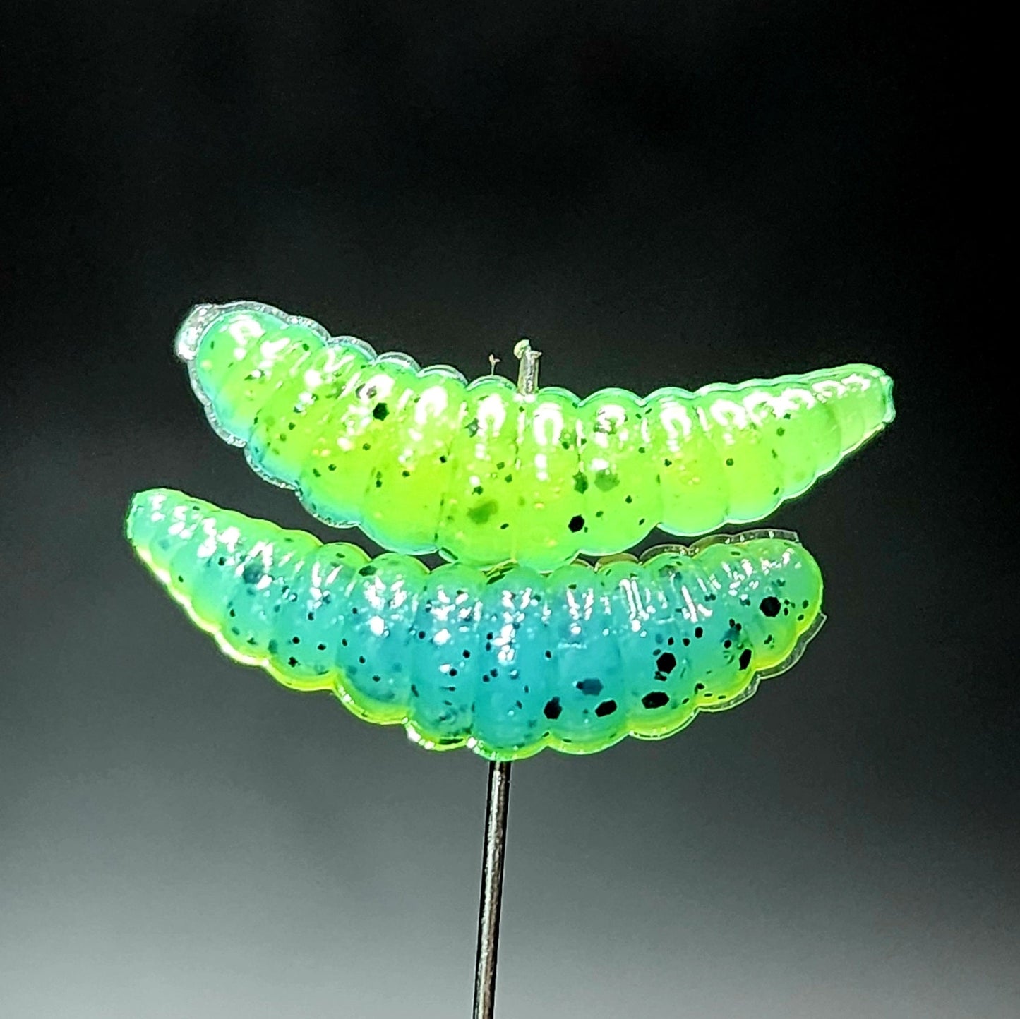 Creek Life Lures Jar of 1" Waxworm "The Tater Bug"