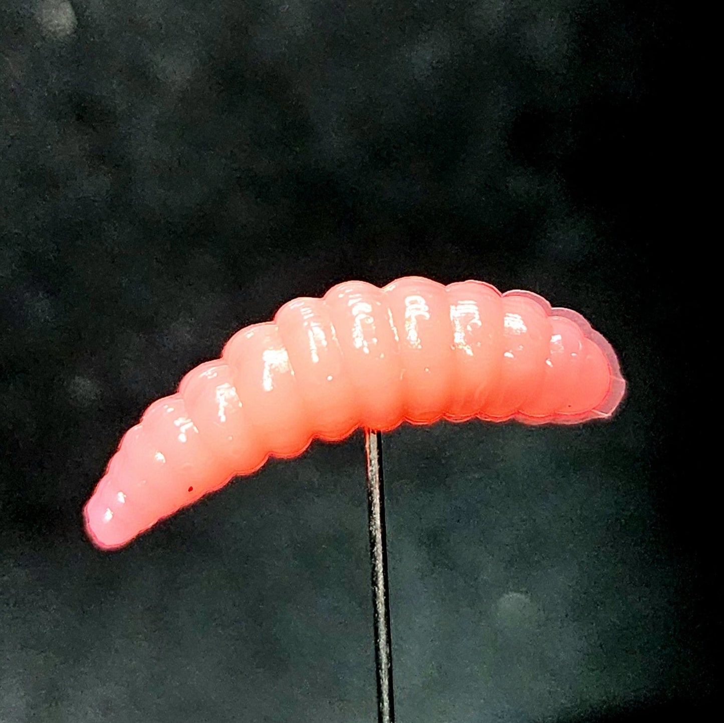 Creek Life Lures 1" Waxworm "The Tater Bug"