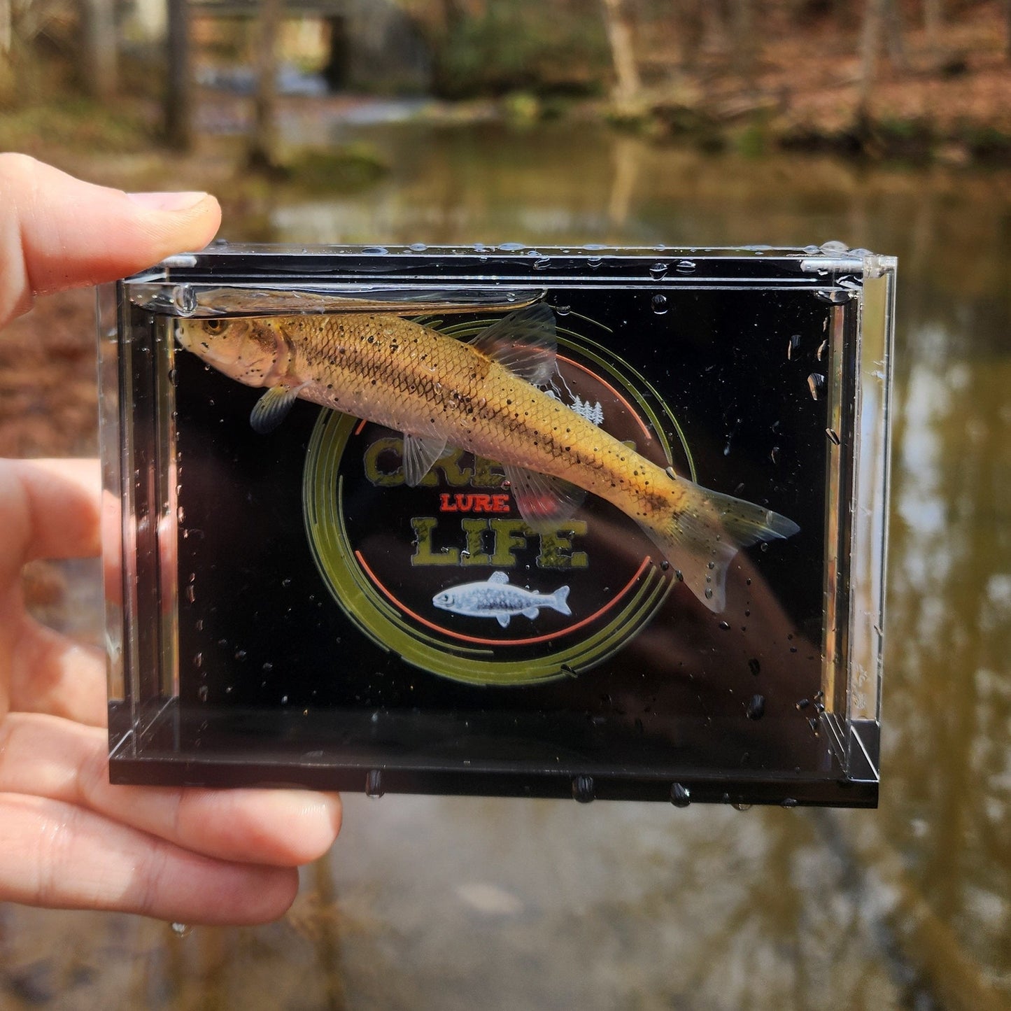 Creek Life Lures The Crick Chamber Fish Photo Box