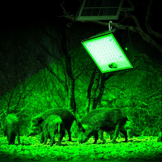 Langy Solar Green Floodlight for Night Hunting