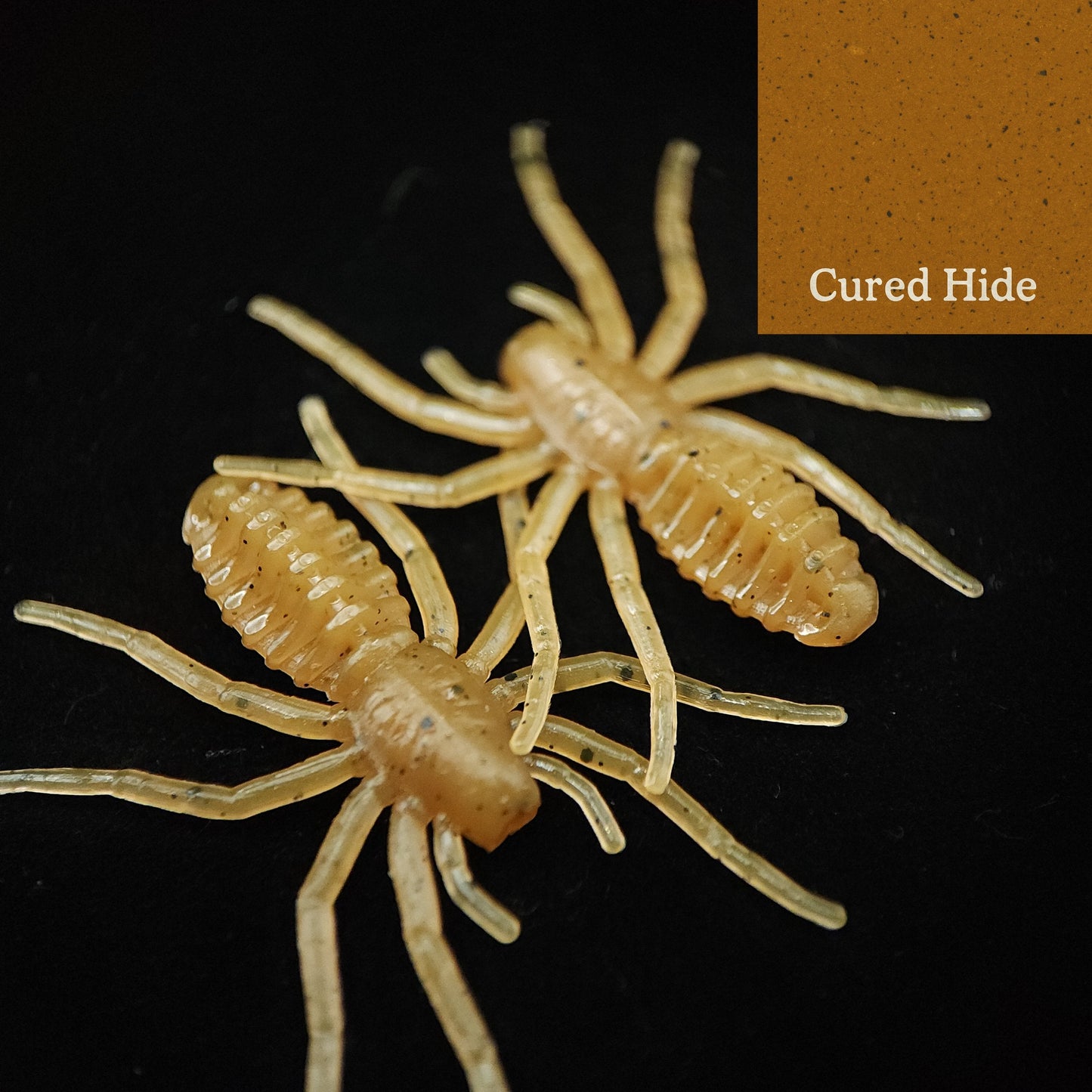 Creek Life Lure Co. 1" Micro Spider Bait "The Writing Spider"