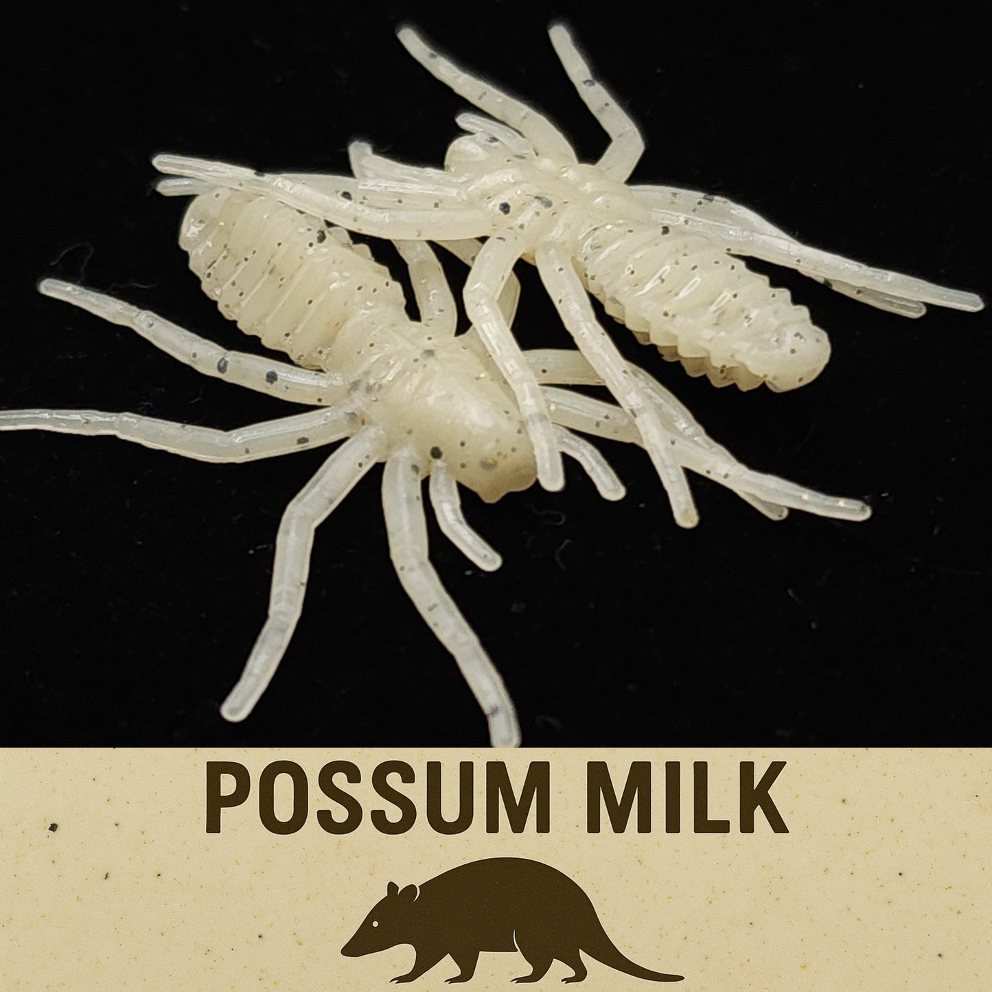 Creek Life Lure Co. 1" Micro Spider Bait "The Writing Spider"