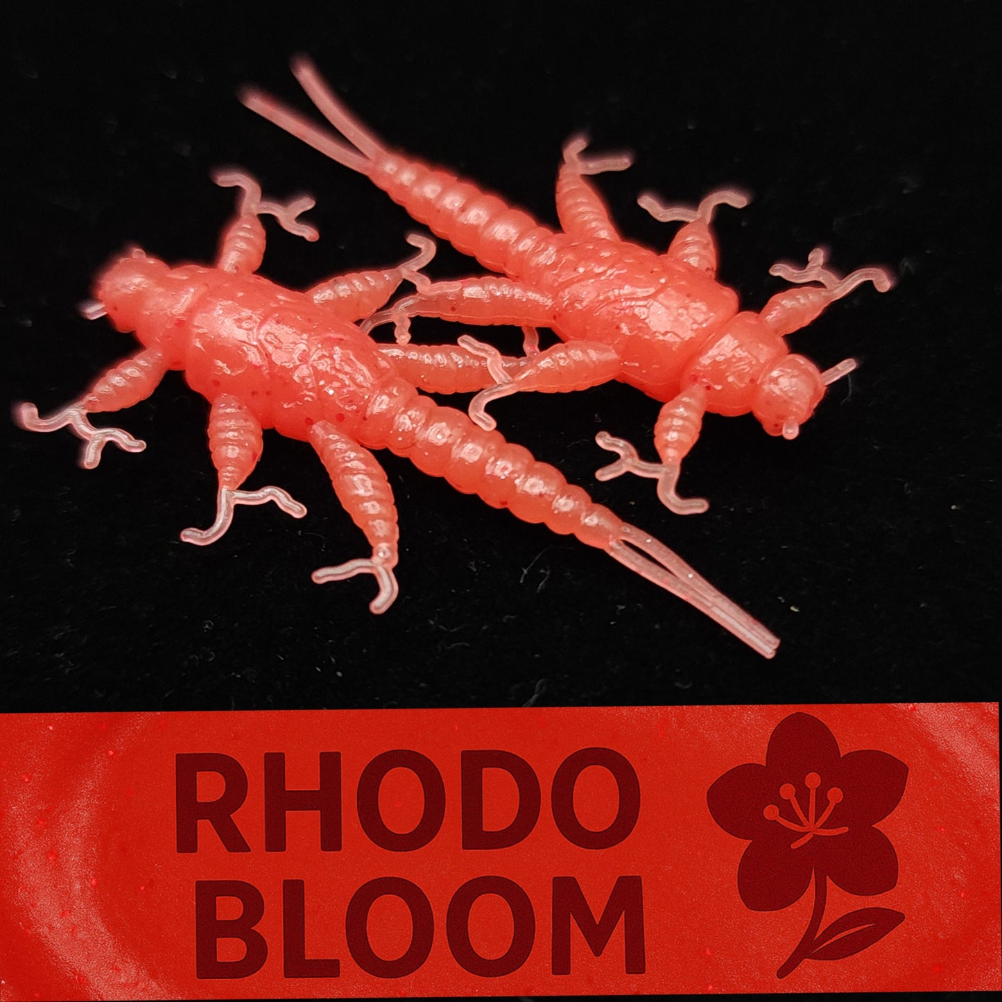 Creek Life Lure Co. Jar of 1.5" Inch Stonefly Larvae "The Morelkin"