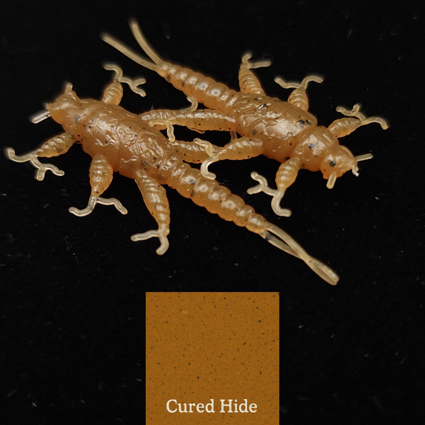 Creek Life Lure Co. Jar of 1.5" Inch Stonefly Larvae "The Morelkin"