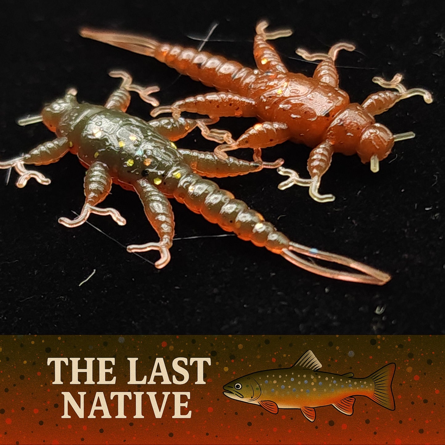 Creek Life Lure Co. Jar of 1.5" Inch Stonefly Larvae "The Morelkin"