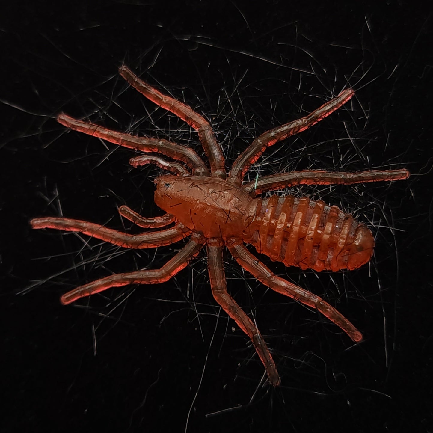 Creek Life Lure Co. Hairy 1" Micro Spider Bait "The Writing Spider"