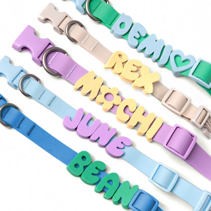 Springland Pets Waterproof Dog Collar