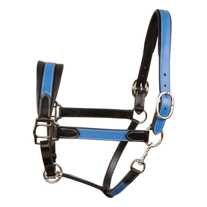 Bridles & Reins ExionPro Duo-Tone Halter - Blue