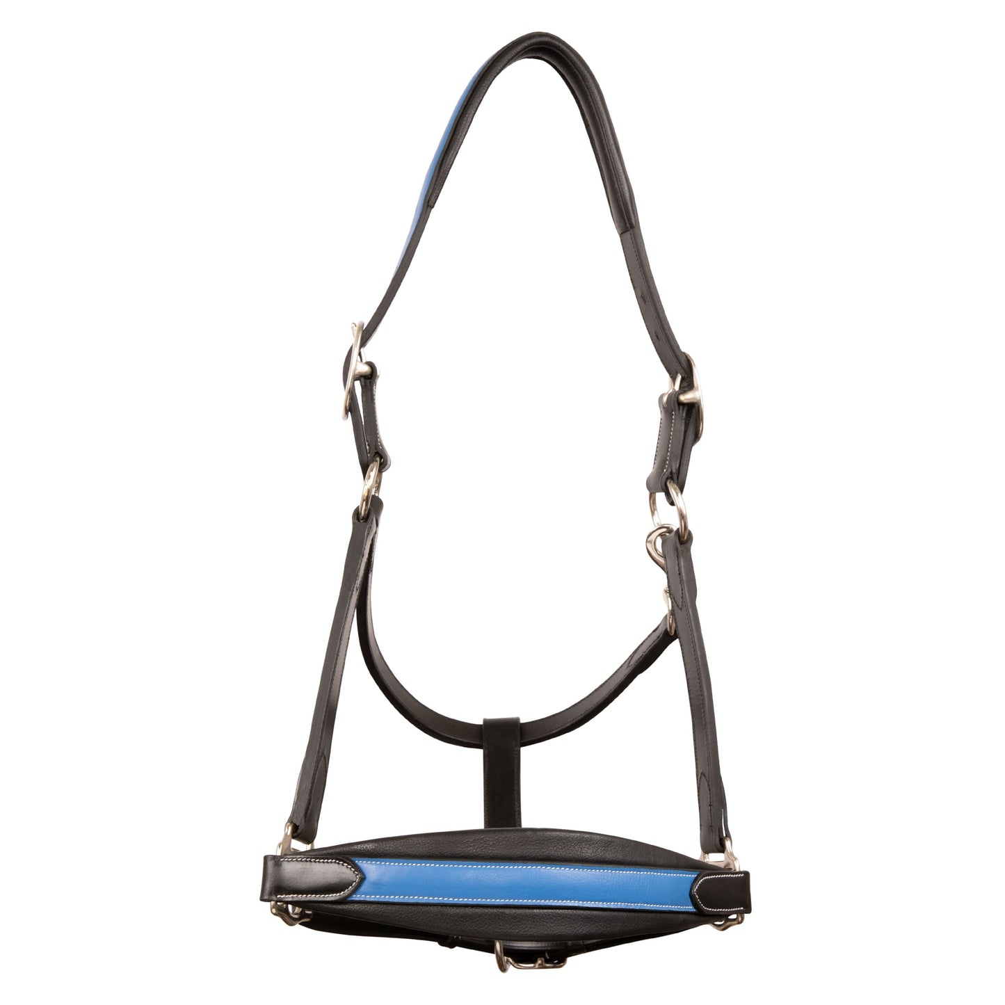 Bridles & Reins ExionPro Duo-Tone Halter - Blue