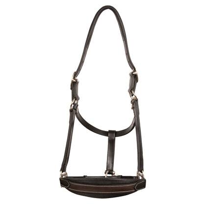 Bridles & Reins ExionPro Duo-Tone Halter - Havana