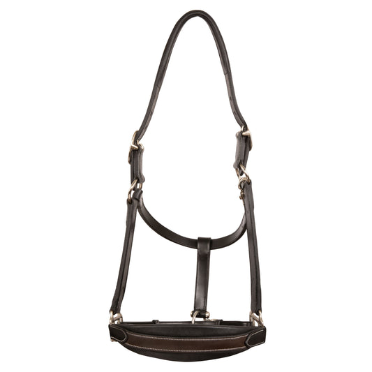 Bridles & Reins ExionPro Duo-Tone Halter - Havana