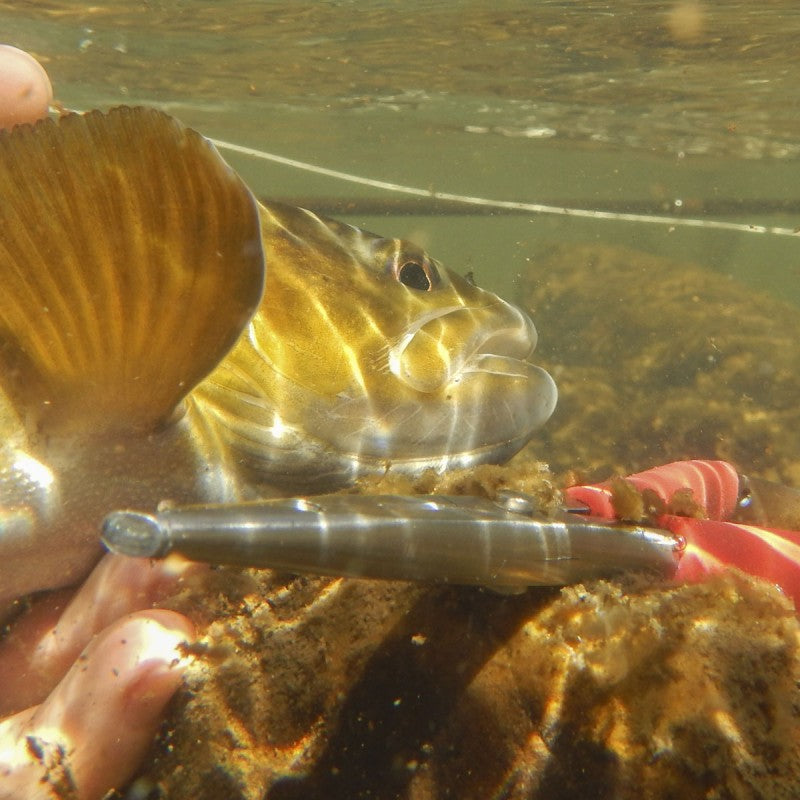 Rising Fishing Work 6"