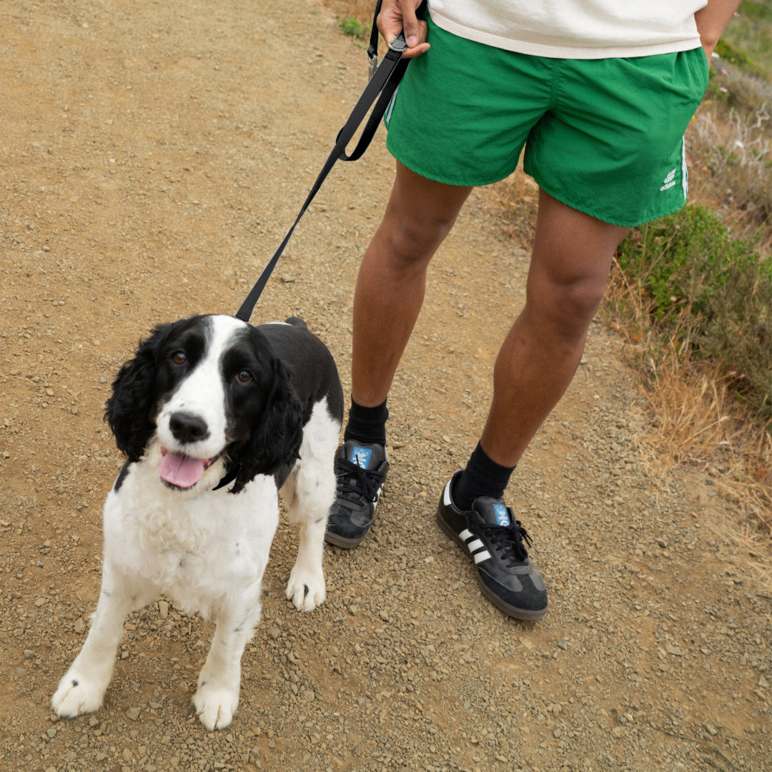 Springland Pets Waterproof Dog Leash - 5ft