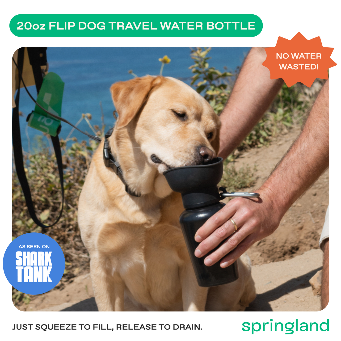 Springland Pets 20oz Flip Dog Travel Water Bottle