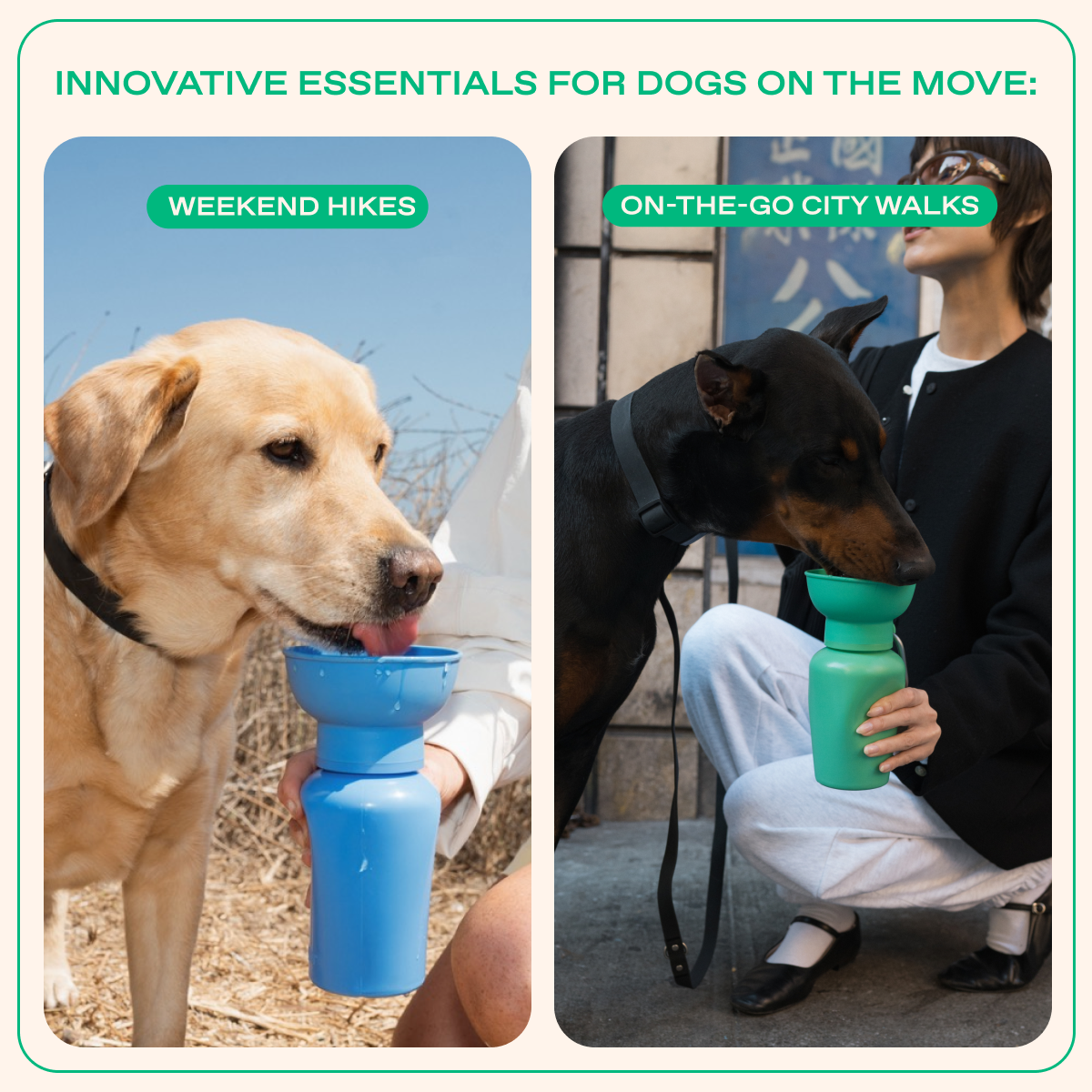 Springland Pets 20oz Flip Dog Travel Water Bottle