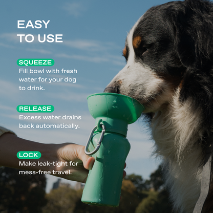 Springland Pets 20oz Flip Dog Travel Water Bottle