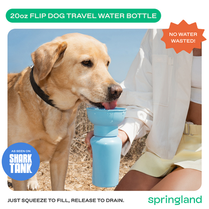 Springland Pets 20oz Flip Dog Travel Water Bottle