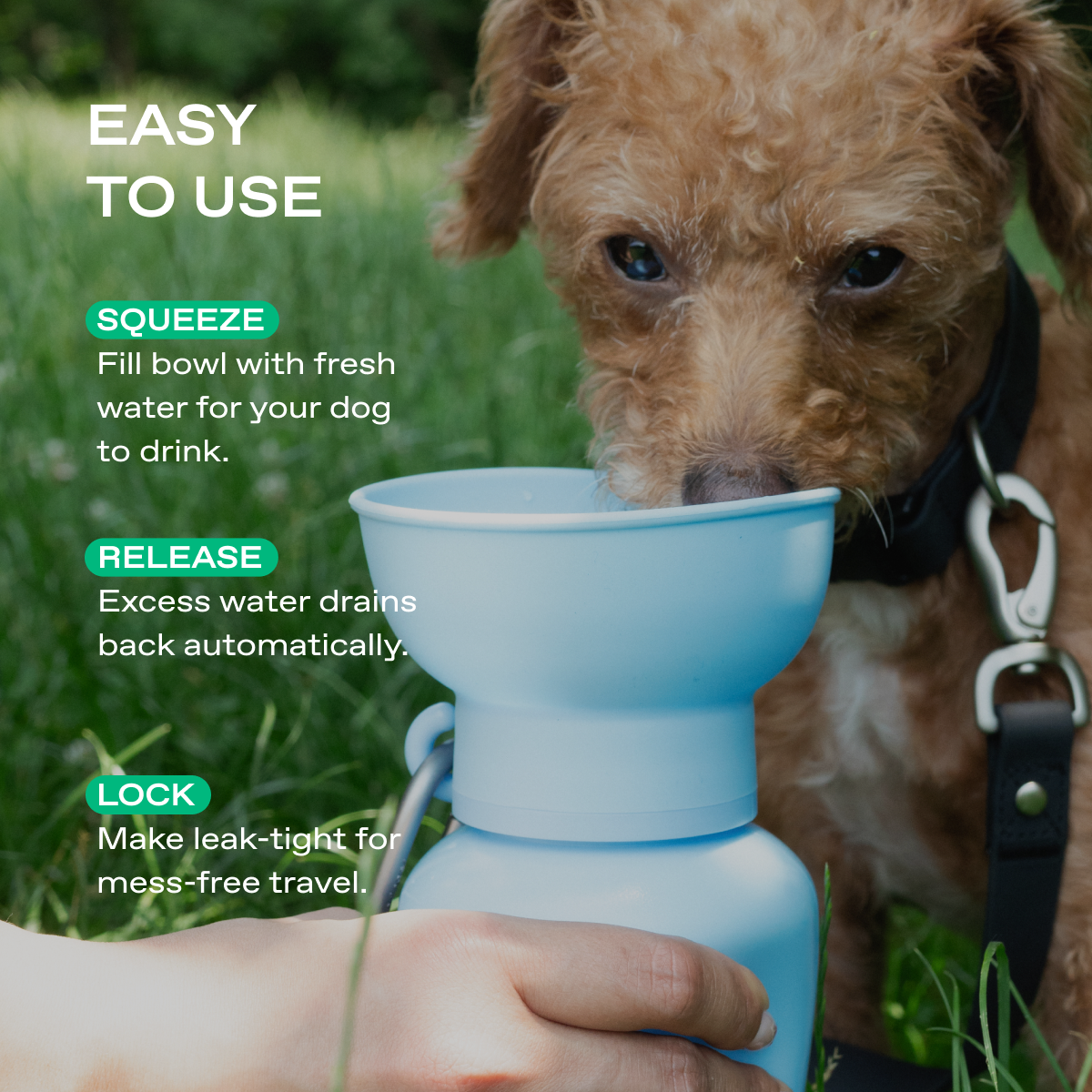 Springland Pets 20oz Flip Dog Travel Water Bottle
