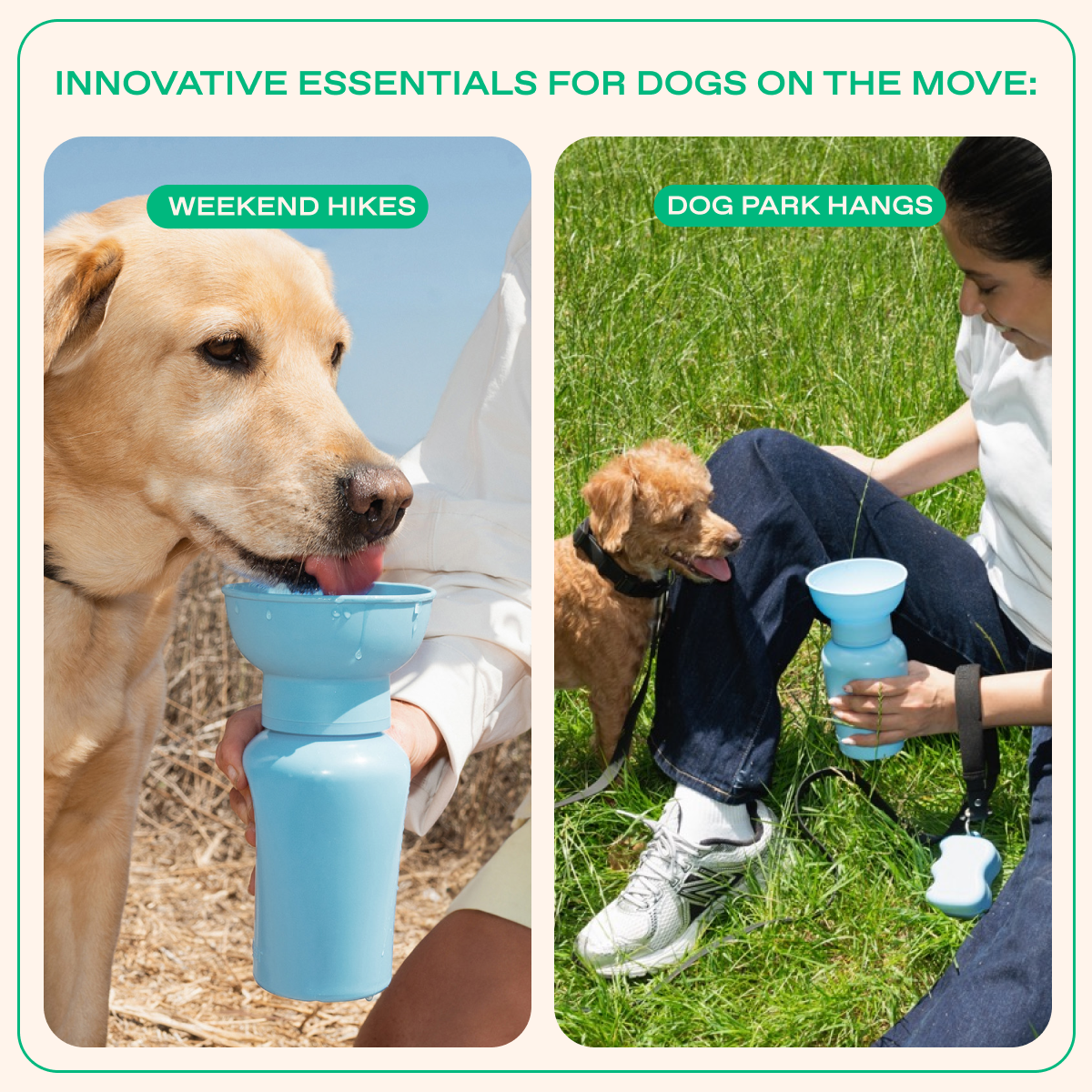 Springland Pets 20oz Flip Dog Travel Water Bottle