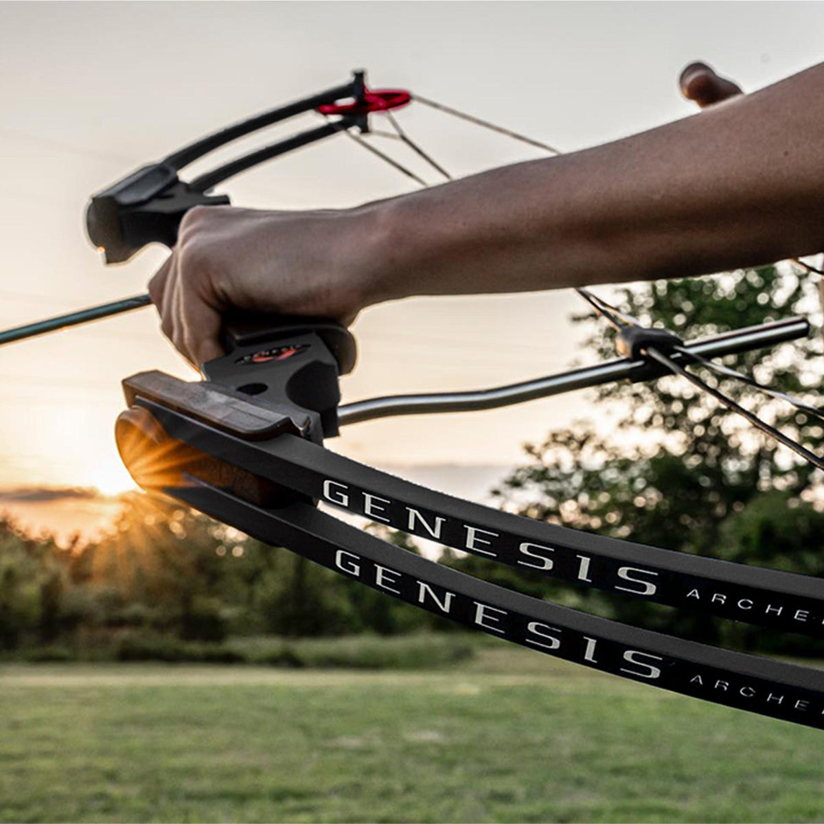 Genesis Original Archery Compound Bow w/ Adjustable Sizing, Right Handed, Black