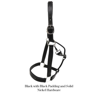 Remarkable Leather Goods GHC Padded Halter