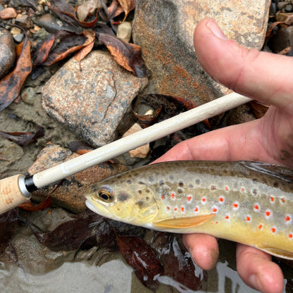 Wasatch Tenkara Rods MothRod