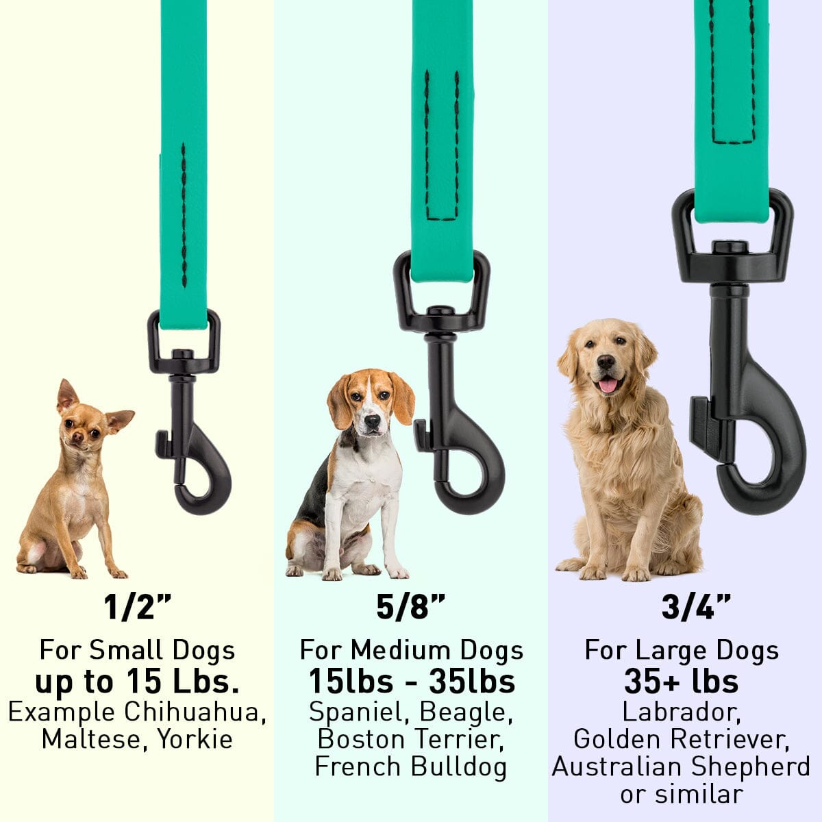 Dogline Biothane Waterproof Leash 4 ft