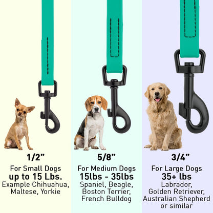 Dogline Biothane Waterproof Leash 4 ft