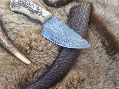 KBS Knives Custom Damascus Steel Field Dressing Deer Skinning Knife with Antler Horn Handle – 7 Inch Drop Point Blade