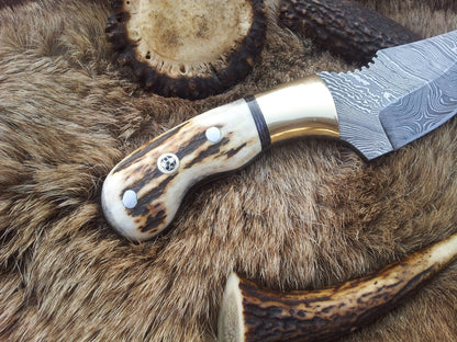 KBS Knives Custom Damascus Steel Field Dressing Deer Skinny Knife – 7.25 Inch Drop Point Blade with Antler Horn Handle and Brass Bolster