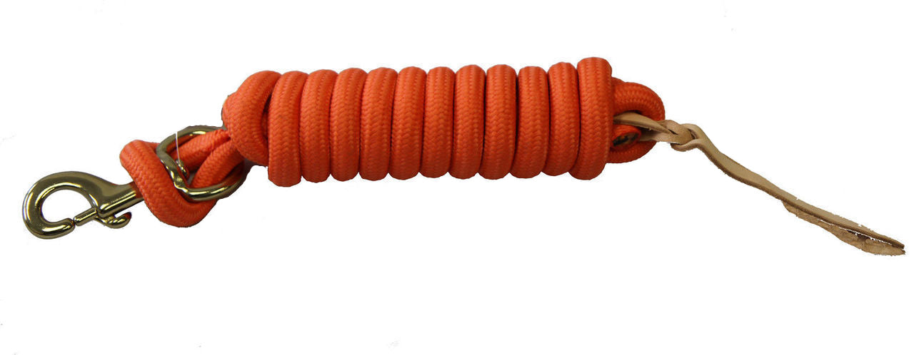 AJ Tack 9 Foot Nylon Lead Rope with Leather Popper