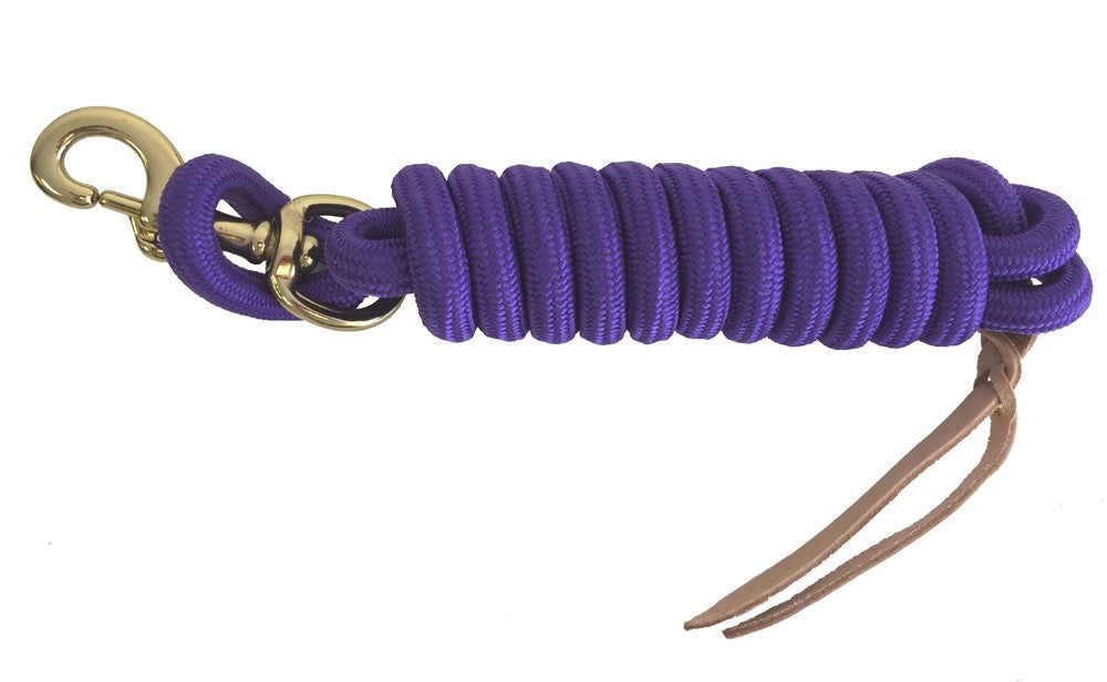 AJ Tack 9 Foot Nylon Lead Rope with Leather Popper
