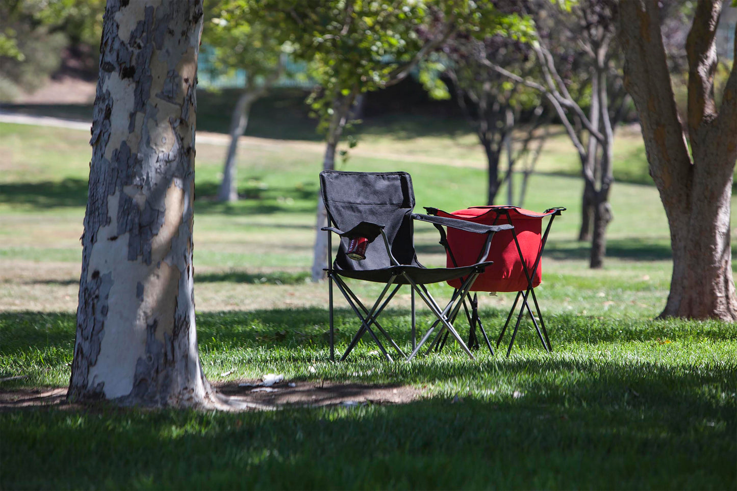 Picnic Time  PTZ Camp Chair