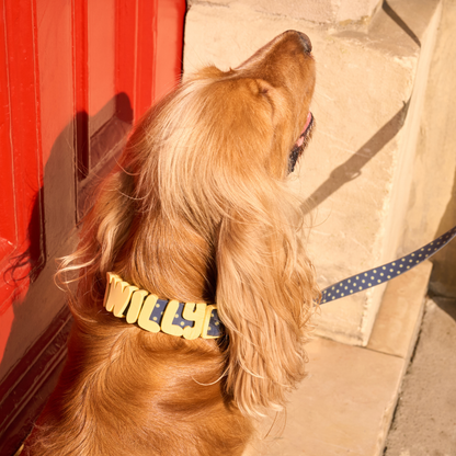 Springland Pets Waterproof Dog Collar