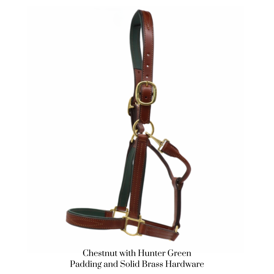 Remarkable Leather Goods GHC Padded Halter